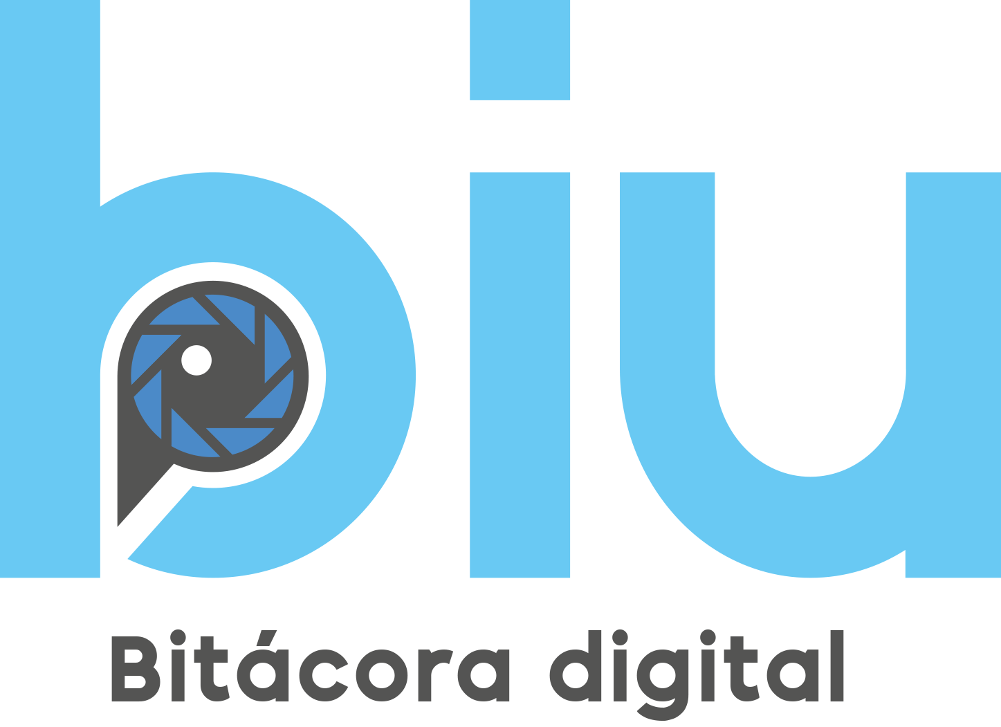 BiuAudit